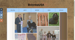 Desktop Screenshot of bolonkausa.com